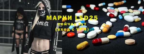PSILOCYBIN Аркадак