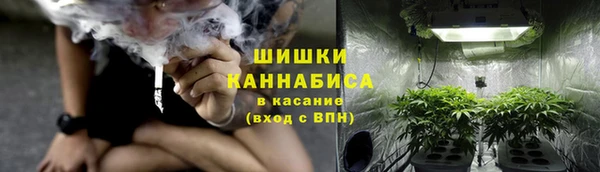 PSILOCYBIN Аркадак