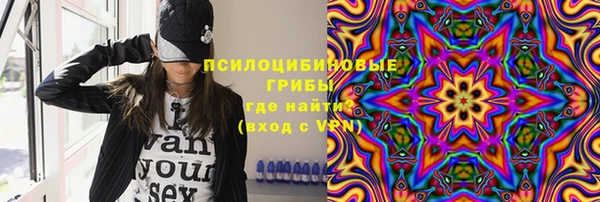 PSILOCYBIN Аркадак