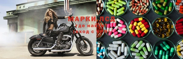 PSILOCYBIN Аркадак